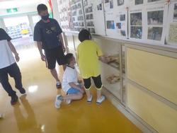 はこぶ