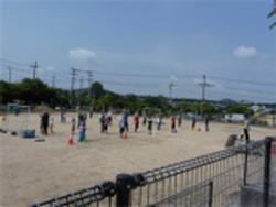 朝の運動1