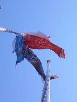こいのぼり