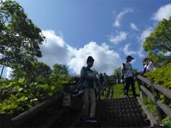長い階段を下りていく様子