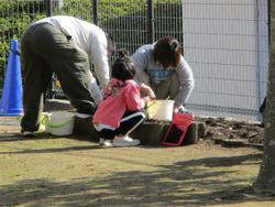 花壇で活動している様子