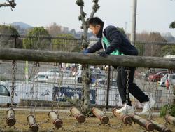 朝の運動