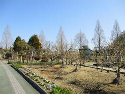 公園風景