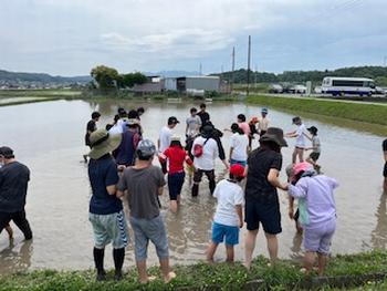 田んぼに入ったとき
